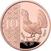 UK 10 Pence (Capercaillie) 10 PENCE coin reverse UK 10 Pence (Capercaillie) 10 PENCE coin reverse