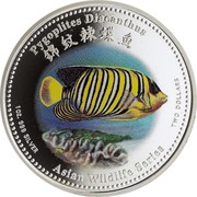 Cook Islands Two Dollars Elizabeth II Regal Angelfish 2002  Prooflike PYGOPLITES DIACANTHUS 錦紋棘蝶魚 1 OZ. 999 SILVER ASIAN WILDLIFE SERIES TWO DOLLARS coin reverse Cook Islands Two Dollars Elizabeth II Regal Angelfish 2002  Prooflike PYGOPLITES DIACANTHUS 錦紋棘蝶魚 1 OZ. 999 SILVER ASIAN WILDLIFE SERIES TWO DOLLARS coin reverse