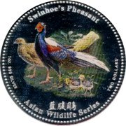 Cook Islands Two Dollars (The Birds of Taiwan.Swinhoe's pheasant) SWINHOE'S PHEASANT 藍腹鷴 1OZ. 999 SILVER ASIAN WILDLIFE SERIES TWO DOLLARS coin reverse