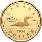 Canada 1 Dollar (Common Loonie Coin) CANADA 2024 DOLLAR RRC coin reverse Canada 1 Dollar (Common Loonie Coin) CANADA 2024 DOLLAR RRC coin reverse