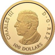Canada 100 Dollars 100th Anniversary of the Royal Canadian Air Force 2024 CHARLES III D G REX SR 100 DOLLARS coin obverse Canada 100 Dollars 100th Anniversary of the Royal Canadian Air Force 2024 CHARLES III D G REX SR 100 DOLLARS coin obverse