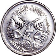 Cook Islands 5 Cents (Elizabeth II Echidna. Mule) 5 SD coin reverse Cook Islands 5 Cents (Elizabeth II Echidna. Mule) 5 SD coin reverse