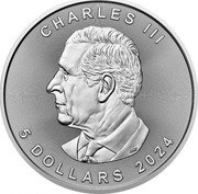 Canada 5 Dollars Treasured Silver Maple Leaf. Polar Bear Privy Mark 2024 CHARLES III 5 DOLLARS 2024 SR coin obverse Canada 5 Dollars Treasured Silver Maple Leaf. Polar Bear Privy Mark 2024 CHARLES III 5 DOLLARS 2024 SR coin obverse