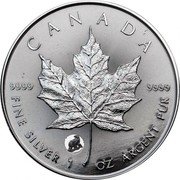 Canada 5 Dollars Treasured Silver Maple Leaf. Polar Bear Privy Mark 2024 CANADA 9999 FINE SILVER 1 OZ ARGENT PUR 9999 coin reverse Canada 5 Dollars Treasured Silver Maple Leaf. Polar Bear Privy Mark 2024 CANADA 9999 FINE SILVER 1 OZ ARGENT PUR 9999 coin reverse