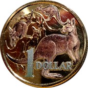 Australia Dollar (30 Years of Mob of Roos) KM# 489.4 1 DOLLAR coin reverse Australia Dollar (30 Years of Mob of Roos) KM# 489.4 1 DOLLAR coin reverse