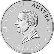 Australia 1 Dollar Charles III. Kookaburra 2024 P125 DT CHARLES III AUSTRALIA 1 DOLLAR coin obverse Australia 1 Dollar Charles III. Kookaburra 2024 P125 DT CHARLES III AUSTRALIA 1 DOLLAR coin obverse