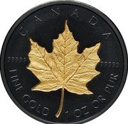 Canada 200 Dollars (Elizabeth II 4th Portrait) CANADA 99999 99999 FINE GOLD 1 OZ OR PUR coin reverse Canada 200 Dollars (Elizabeth II 4th Portrait) CANADA 99999 99999 FINE GOLD 1 OZ OR PUR coin reverse