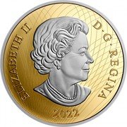 Canada 250 Dollars Elizabeth II Diamond Diadem 2022  Proof ELIZABETH II D G REGINA 2022 coin obverse Canada 250 Dollars Elizabeth II Diamond Diadem 2022  Proof ELIZABETH II D G REGINA 2022 coin obverse