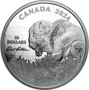 Canada 30 Dollars Bison by Robert Bateman 2024 30 DOLLARS CANADA 2024 ROBERT BATEMAN coin reverse Canada 30 Dollars Bison by Robert Bateman 2024 30 DOLLARS CANADA 2024 ROBERT BATEMAN coin reverse
