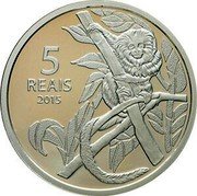 Brazil 5 Reais Olympic Game in Rio. Cycling. Golden Lion Tamarin 2015 Proof KM# 713 5 REAIS BRASIL coin reverse Brazil 5 Reais Olympic Game in Rio. Cycling. Golden Lion Tamarin 2015 Proof KM# 713 5 REAIS BRASIL coin reverse