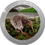 New Zealand One Dollar (Charles III 1. Great Spotted Kiwi.Coloured) ROROA GREAT SPOTTED KIWI APTERYX MAXIMA ONE DOLLAR coin reverse New Zealand One Dollar (Charles III 1. Great Spotted Kiwi.Coloured) ROROA GREAT SPOTTED KIWI APTERYX MAXIMA ONE DOLLAR coin reverse