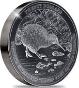 New Zealand Twenty Dollars Tokoeka Southern Brown kiwi 2023 TWENTY DOLLARS TOKOEA SOUTHERN KIWI APTERIX AUSTRALIS coin reverse New Zealand Twenty Dollars Tokoeka Southern Brown kiwi 2023 TWENTY DOLLARS TOKOEA SOUTHERN KIWI APTERIX AUSTRALIS coin reverse
