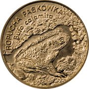 Poland 2 Zlote Toad 1998 Y# 340 ROPUCHA PASKÓWKA BUFO CALAMITA coin reverse Poland 2 Zlote Toad 1998 Y# 340 ROPUCHA PASKÓWKA BUFO CALAMITA coin reverse