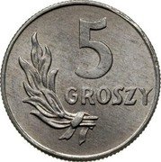 Poland 5 Groszy Circulation Coin 1949 (kr) Y# 41A 5 GROSZY coin reverse Poland 5 Groszy Circulation Coin 1949 (kr) Y# 41A 5 GROSZY coin reverse