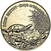 Poland 2 Zlote Pond Turtle 2002 MW Y# 427 ŻÓŁW BŁOTNY - EMYS ORBICULARIS coin reverse Poland 2 Zlote Pond Turtle 2002 MW Y# 427 ŻÓŁW BŁOTNY - EMYS ORBICULARIS coin reverse