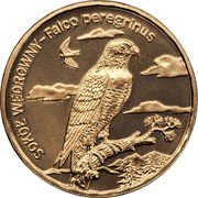 Poland 2 Zlote Peregrine Falcon 2008 MW Y# 627 SOKÒŁ WĘDROWNY - FALCO PEREGRINUS NR coin reverse Poland 2 Zlote Peregrine Falcon 2008 MW Y# 627 SOKÒŁ WĘDROWNY - FALCO PEREGRINUS NR coin reverse
