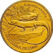 Poland 2 Zlote The European Green Lizard 2009 MW Y# 678 LACERTA VIRIDIS JASZCZURKA ZIELONA RK coin reverse Poland 2 Zlote The European Green Lizard 2009 MW Y# 678 LACERTA VIRIDIS JASZCZURKA ZIELONA RK coin reverse
