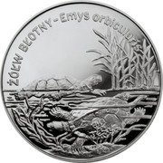 Poland 20 Zlotych Pond Turtle 2002 MW Proof Y# 428 ŻÓŁW BŁOTNY EMYS ORBICULARIS coin reverse Poland 20 Zlotych Pond Turtle 2002 MW Proof Y# 428 ŻÓŁW BŁOTNY EMYS ORBICULARIS coin reverse