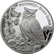 Poland 20 Zlotych Eurasian Eagle-owl 2005 MW Proof Y# 531 PUCHACZ BUBO BUBO coin reverse Poland 20 Zlotych Eurasian Eagle-owl 2005 MW Proof Y# 531 PUCHACZ BUBO BUBO coin reverse