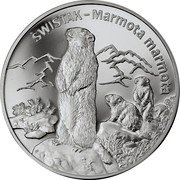 Poland 20 Zlotych Marmot 2006 MW Proof Y# 535 SWISTAK - MARMOTA MARMOTA coin reverse Poland 20 Zlotych Marmot 2006 MW Proof Y# 535 SWISTAK - MARMOTA MARMOTA coin reverse