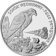 Poland 20 Zlotych Peregrine Falcon 2008 MW Proof Y# 637 SOKOL WEDROWNY FALCO PEREGRINUS coin reverse Poland 20 Zlotych Peregrine Falcon 2008 MW Proof Y# 637 SOKOL WEDROWNY FALCO PEREGRINUS coin reverse