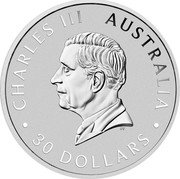 Australia 30 Dollars (Charles III. Kookaburra) DT CHARLES III AUSTRALIA 30 DOLLARS coin obverse Australia 30 Dollars (Charles III. Kookaburra) DT CHARLES III AUSTRALIA 30 DOLLARS coin obverse