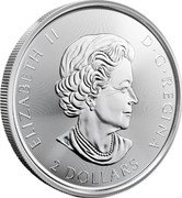 Canada 2 Dollars Elizabeth II Red-tailed Hawk 2021 Bullion ELIZABETH II D G REGINA 2 DOLLARS SB coin obverse Canada 2 Dollars Elizabeth II Red-tailed Hawk 2021 Bullion ELIZABETH II D G REGINA 2 DOLLARS SB coin obverse