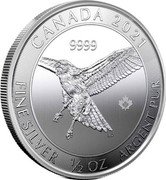 Canada 2 Dollars Elizabeth II Red-tailed Hawk 2021 Bullion CANADA 2021 9999 FINE SILVER 1/2 OZ ARGENT PUR 21 ED coin reverse Canada 2 Dollars Elizabeth II Red-tailed Hawk 2021 Bullion CANADA 2021 9999 FINE SILVER 1/2 OZ ARGENT PUR 21 ED coin reverse