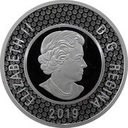 Canada 2 Dollars (Multilayered Polar Bear. Elizabeth II) 2019 ELIZABETH II D G REGINA SB coin obverse Canada 2 Dollars (Multilayered Polar Bear. Elizabeth II) 2019 ELIZABETH II D G REGINA SB coin obverse