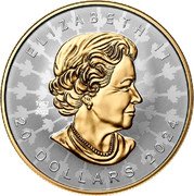 Canada 20 Dollars Super Incuse Silver Maple Leaf 2024 Proof 1952 2022 2024 20 DOLLARS ELIZABETH II SB coin obverse Canada 20 Dollars Super Incuse Silver Maple Leaf 2024 Proof 1952 2022 2024 20 DOLLARS ELIZABETH II SB coin obverse
