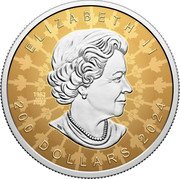 Canada 200 Dollars Super Incuse Gold Maple Leaf 2024 Proof 1952 200 DOLLARS 2022 2024 ELIZABETH II SB coin obverse Canada 200 Dollars Super Incuse Gold Maple Leaf 2024 Proof 1952 200 DOLLARS 2022 2024 ELIZABETH II SB coin obverse