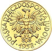 Poland 50 Groszy (Ear and Hammers. Trial Strike) POLSKA RZECZPOSPOLITA LUDOWA 1958 coin obverse Poland 50 Groszy (Ear and Hammers. Trial Strike) POLSKA RZECZPOSPOLITA LUDOWA 1958 coin obverse