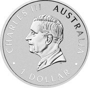 Australia 1 Dollar Charles III. Koala 2024 P125 BU CHARLES III AUSTRALIA 1 DOLLAR DT coin obverse Australia 1 Dollar Charles III. Koala 2024 P125 BU CHARLES III AUSTRALIA 1 DOLLAR DT coin obverse