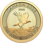 Canada 10 Dollars (Bald Eagle with Fish) CANADA 2024 9999 FINE GOLD 1/4 OZ OR PUR JC coin reverse