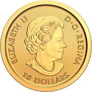 Canada 10 Dollars (Goshawk) ELIZABETH II D G REGINA 10 DOLLARS SB coin obverse Canada 10 Dollars (Goshawk) ELIZABETH II D G REGINA 10 DOLLARS SB coin obverse