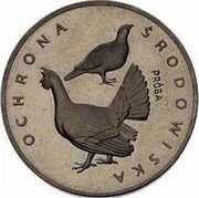 Poland 100 Zlotych Environment Protection. Cappercaillie. Trial Strike 1980 MW KM# Pr398 OCHRONA ŚRODOWISKA PRÓBA coin reverse Poland 100 Zlotych Environment Protection. Cappercaillie. Trial Strike 1980 MW KM# Pr398 OCHRONA ŚRODOWISKA PRÓBA coin reverse