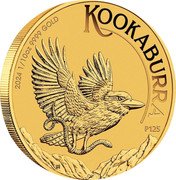 Australia 15 Dollars Kookaburra. Bullion 2024 P125 SR P125 KOOKABURRA 2024 1/10 OZ 9999 GOLD coin reverse