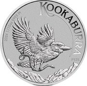 Australia 15 Dollars Kookaburra. Bullion 2024 P125 SR P125 KOOKABURRA 2024 1/10 OZ 9995 PT coin reverse Australia 15 Dollars Kookaburra. Bullion 2024 P125 SR P125 KOOKABURRA 2024 1/10 OZ 9995 PT coin reverse