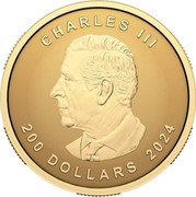 Canada 200 Dollars Ultra High Relief Maple Leaf 2024  Reverse Proof CHARLES III 200 DOLLARS 2024 SR coin obverse Canada 200 Dollars Ultra High Relief Maple Leaf 2024  Reverse Proof CHARLES III 200 DOLLARS 2024 SR coin obverse
