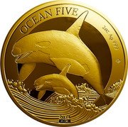 Niue 250 Dollars Ocean Five. Orca 2024 ʟEᴠ OCEAN FIVE 2OZ AG 999 LEV 2024 01/50 coin reverse