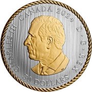 Canada 30 Dollars The Hunter. The Eagle 2024 CHARLES III CANADA 2024 D G REX 30 DOLLARS SR coin obverse Canada 30 Dollars The Hunter. The Eagle 2024 CHARLES III CANADA 2024 D G REX 30 DOLLARS SR coin obverse