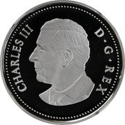 Canada 5 Cents (Beaver. Gilded) CHARLES III D G REX SR coin obverse Canada 5 Cents (Beaver. Gilded) CHARLES III D G REX SR coin obverse