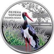 Ukraine 5 Hryven Chornobyl. Renaissance. The Black Stork 2024  Special Uncirculated ЛЕЛЕКА ЧОРНИЙ CICONIA NIGRA coin reverse Ukraine 5 Hryven Chornobyl. Renaissance. The Black Stork 2024  Special Uncirculated ЛЕЛЕКА ЧОРНИЙ CICONIA NIGRA coin reverse