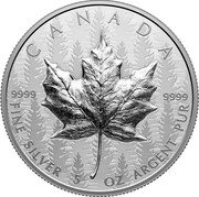 Canada 50 Dollars Maple Leaf Ultra High Relief 2024 CANADA 9999 FINE SILVER 5 OZ ARGENT PUR 9999 coin reverse