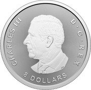 Canada 8 Dollars (Bald Eagle with Claws) CHARLES III D G REX 8 DOLLARS SR coin obverse Canada 8 Dollars (Bald Eagle with Claws) CHARLES III D G REX 8 DOLLARS SR coin obverse
