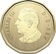 Canada Dollar Northern Leopard Frog 2024  Specimen CHARLES III D G REX SR coin obverse
