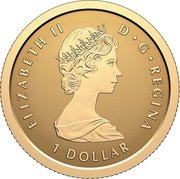 Canada 1 Dollar (Maple Leaf) ELIZABETH II D G REGINA 1 DOLLAR coin obverse Canada 1 Dollar (Maple Leaf) ELIZABETH II D G REGINA 1 DOLLAR coin obverse