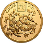 Canada 100 Dollars Lunar Year of the Snake 2025 蛇 CANADA 2025 SN coin reverse Canada 100 Dollars Lunar Year of the Snake 2025 蛇 CANADA 2025 SN coin reverse