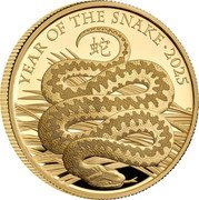 UK 100 Pounds (Lunar Year of the Snake 蛇) YEAR OF THE SNAKE 2025 蛇 CTC coin reverse UK 100 Pounds (Lunar Year of the Snake 蛇) YEAR OF THE SNAKE 2025 蛇 CTC coin reverse