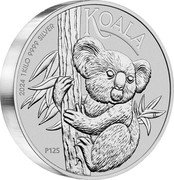Australia 30 Dollars (Koala. Bullion) KOALA 2024 1 KILO 9999 SILVER P125 IJ coin reverse Australia 30 Dollars (Koala. Bullion) KOALA 2024 1 KILO 9999 SILVER P125 IJ coin reverse